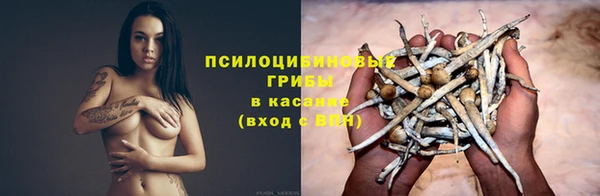 a pvp Верея