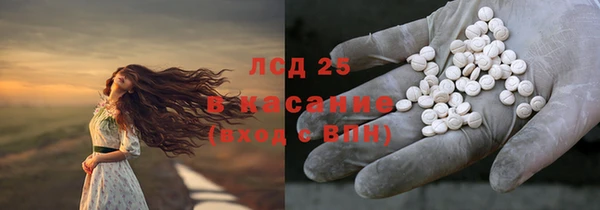 ПСИЛОЦИБИНОВЫЕ ГРИБЫ Коряжма