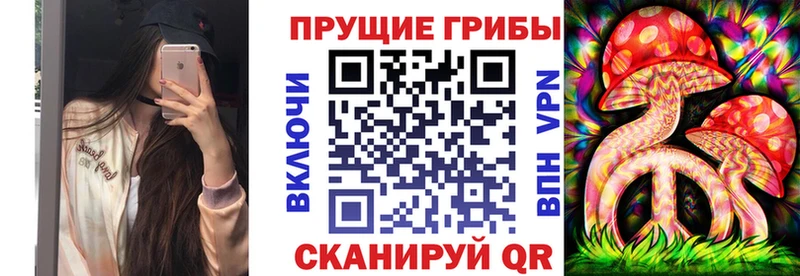 Галлюциногенные грибы Psilocybe  Муром 
